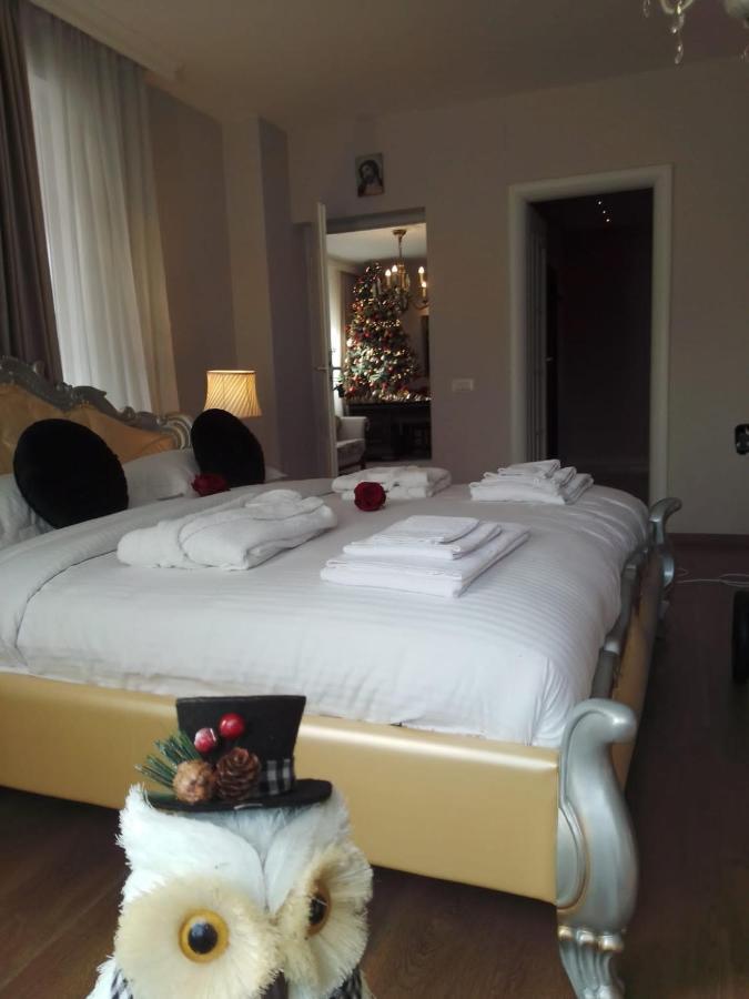 Casa Maria Roses Rasnov Exterior foto
